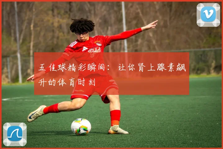 五佳球精彩瞬间:让你肾上腺素飙升的体育时刻