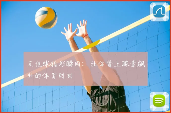 五佳球精彩瞬间：让你肾上腺素飙升的体育时刻